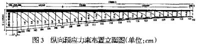 圖3 縱向預(yù)應(yīng)力束布置立面圖