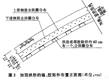 圖2 加固拱肋的錨、膠貼件布置正面圖（單位：cm）